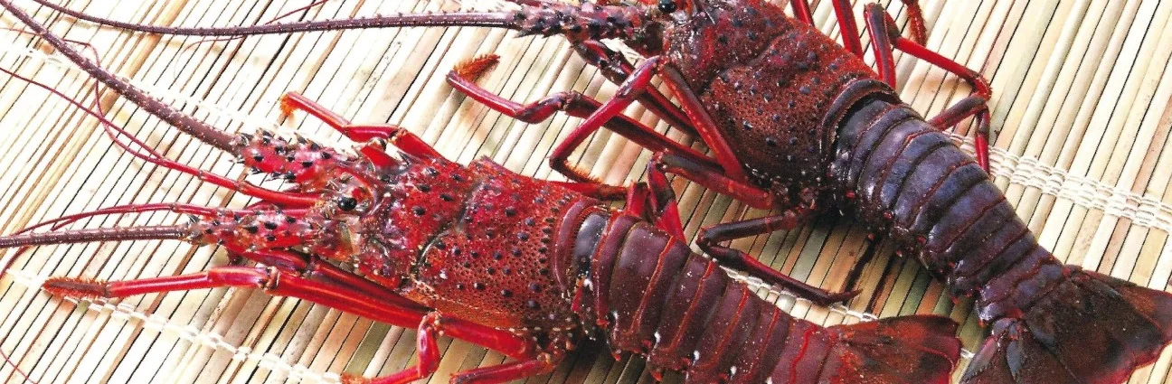 Live Seafood