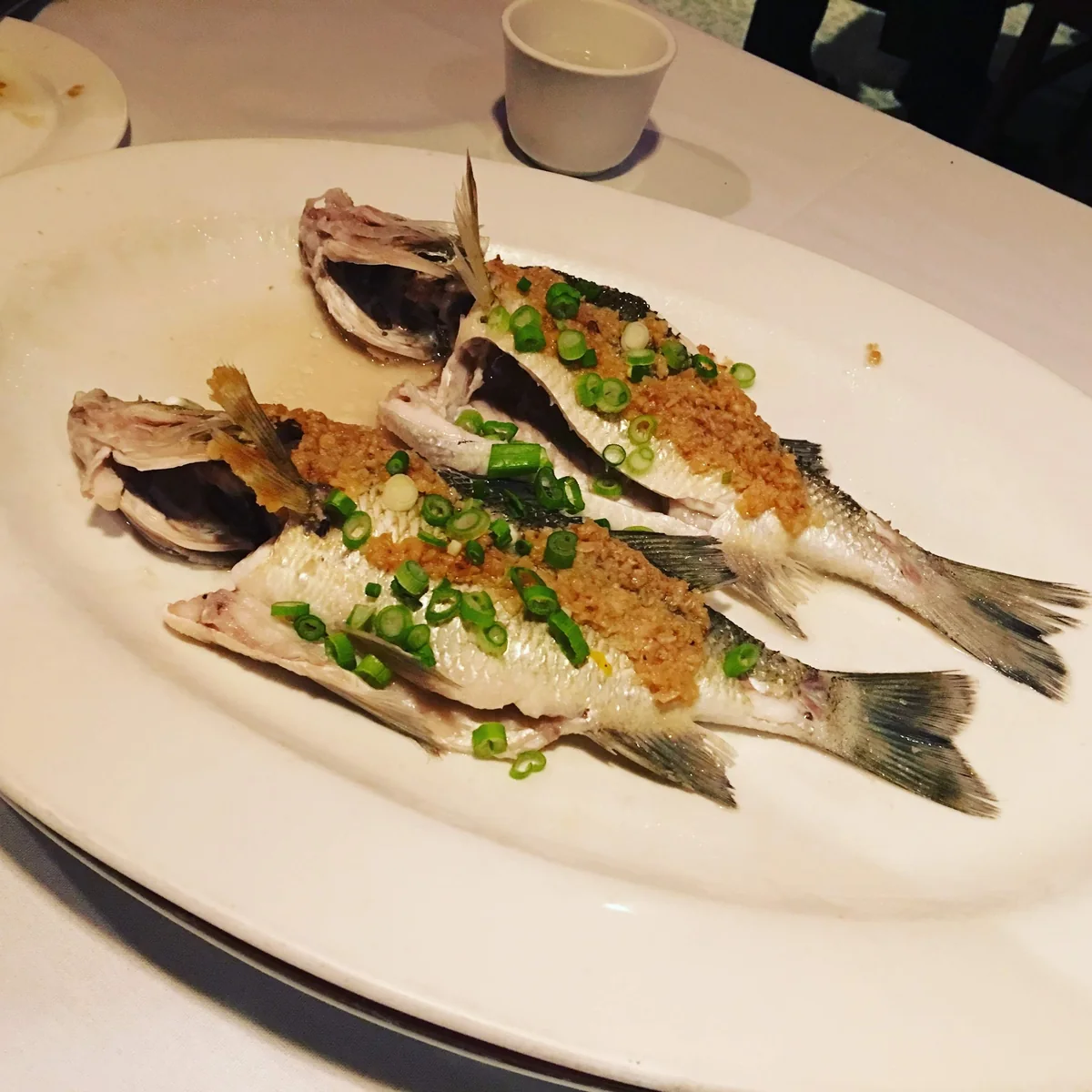 Live Seafood at Hong Hua