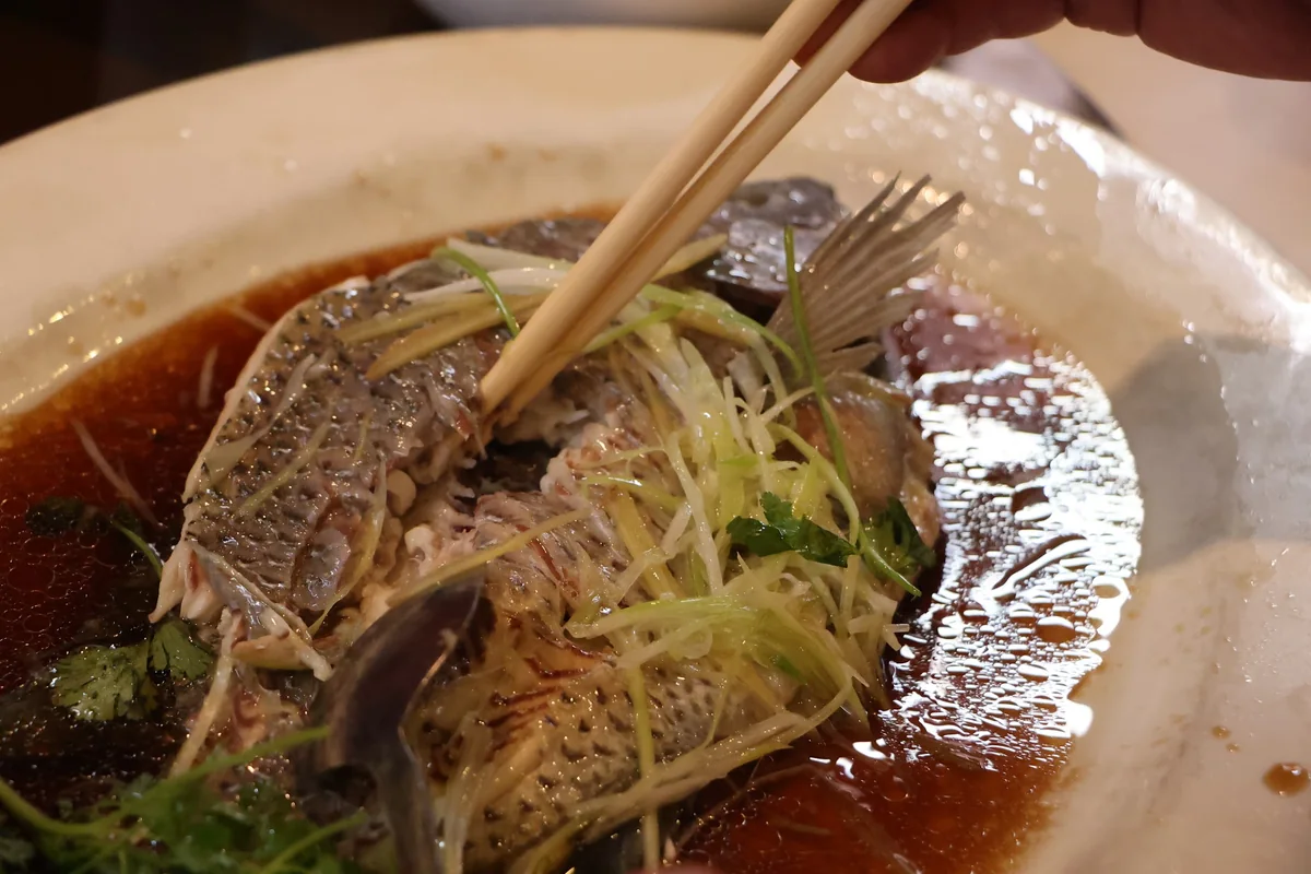 Hong Hua — steamed fish 2